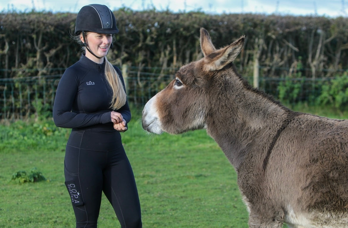 Riding Leggings in Jet